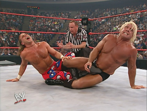 Shawn Michaels vs. Ric Flair - WWE Bad Blood 2003